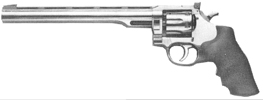 Wesson Firearms Silhouette .22
