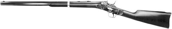 Rolling Block Buffalo Rifle