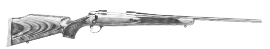 Laminated Model
