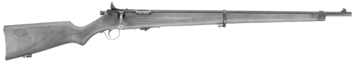 Model 19 NRA