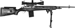 M21 Law Enforcement/Tactical Rifle