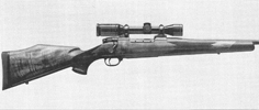Mark V Euromark