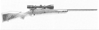 Mark V Varmint