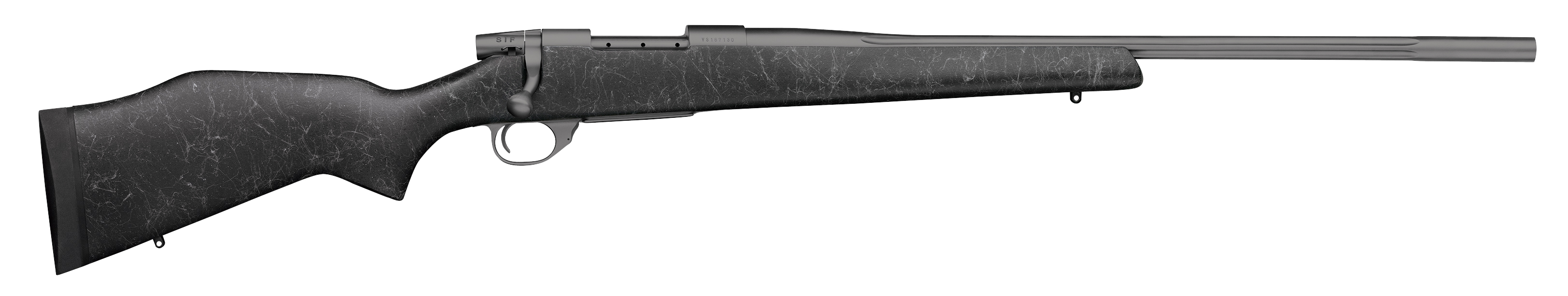 Vanguard Backcountry
