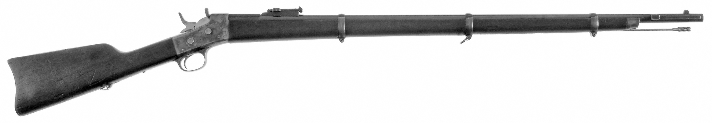 Argentine Model of 1879