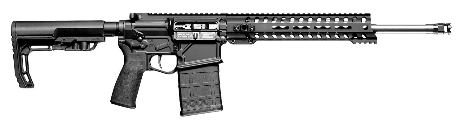 Rogue Rifle