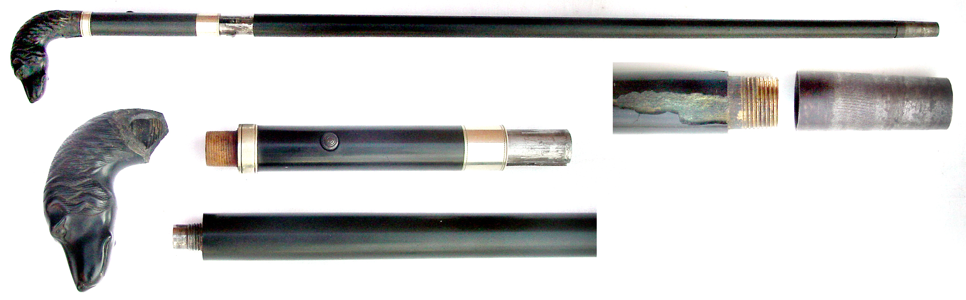 Cane Gun