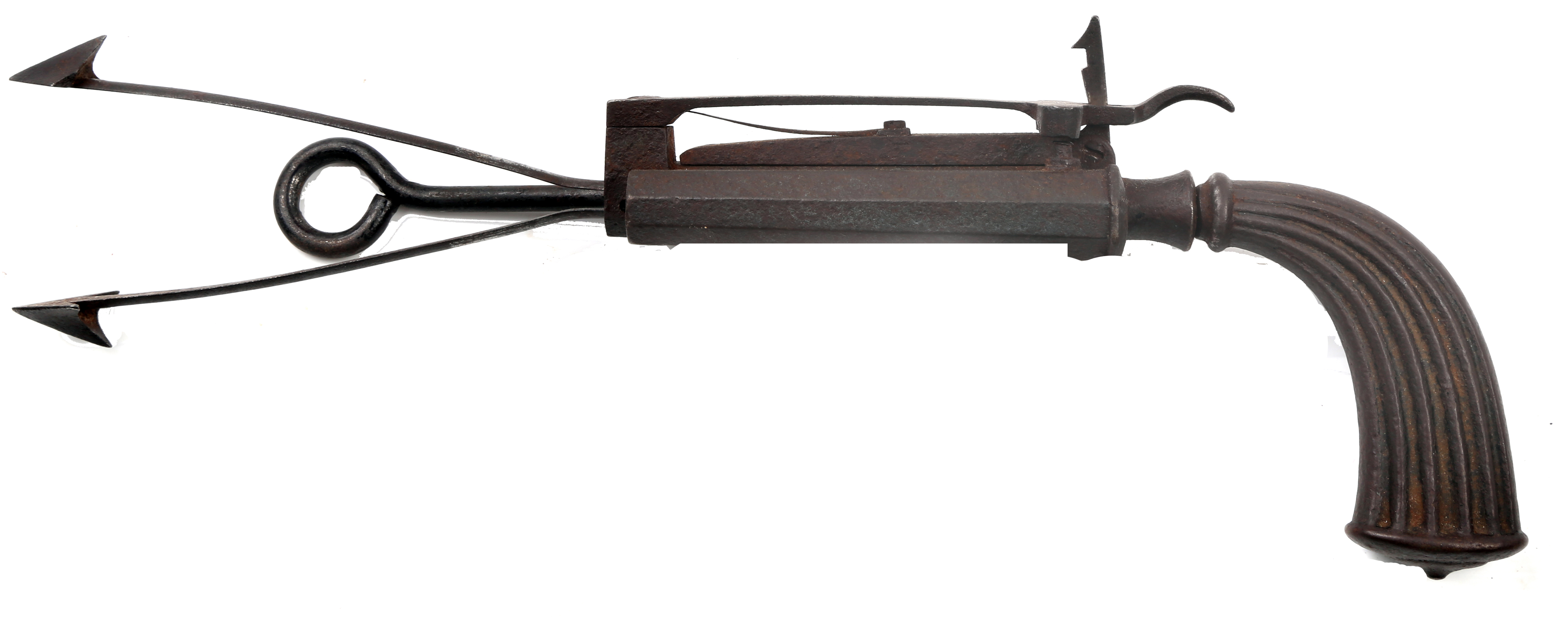 Animal Trap Gun