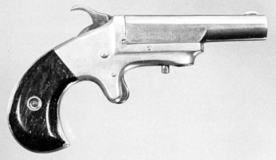 .22 Caliber Model