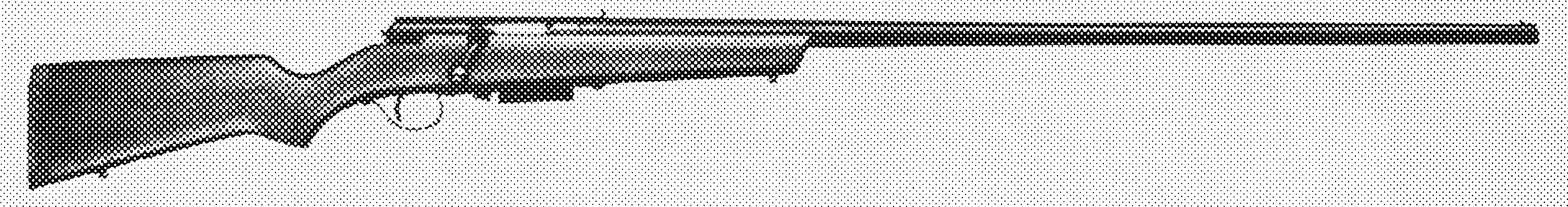 Model 55 Goose Gun