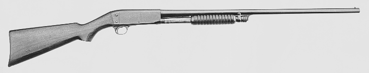 Model 17