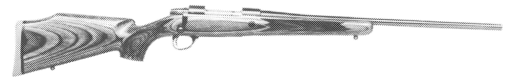 Laminated Model