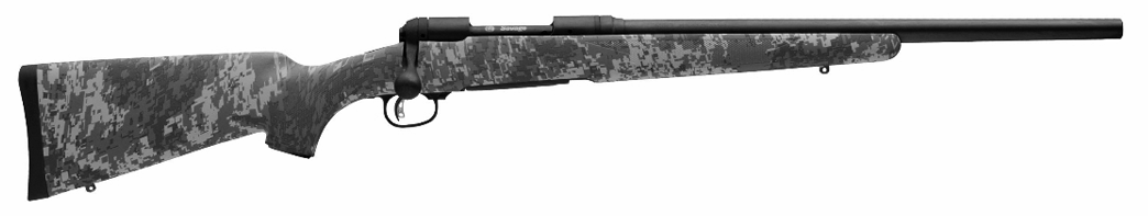 Model 10 Precision Carbine