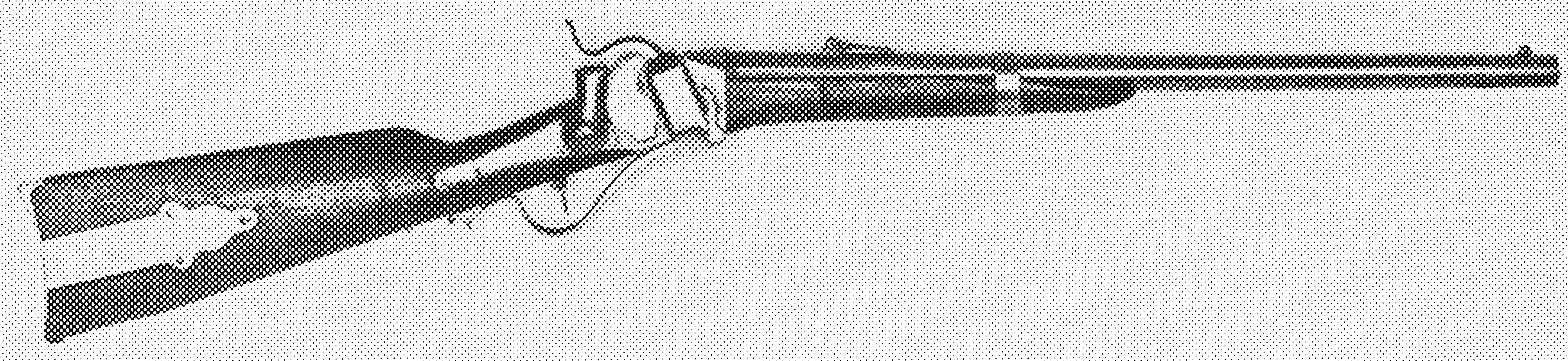 Model 1855 British Carbine