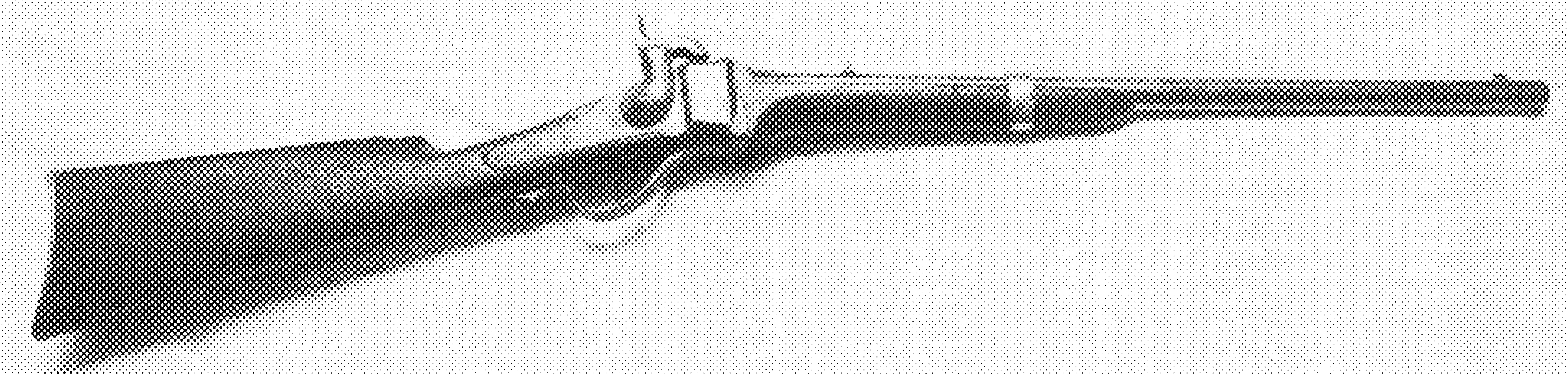New Model 1863 Carbine