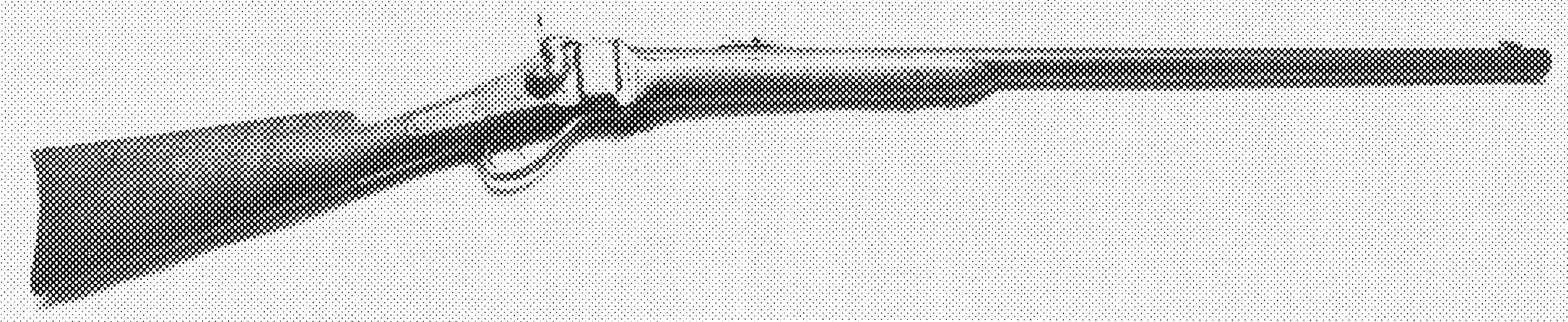 Business Rifle