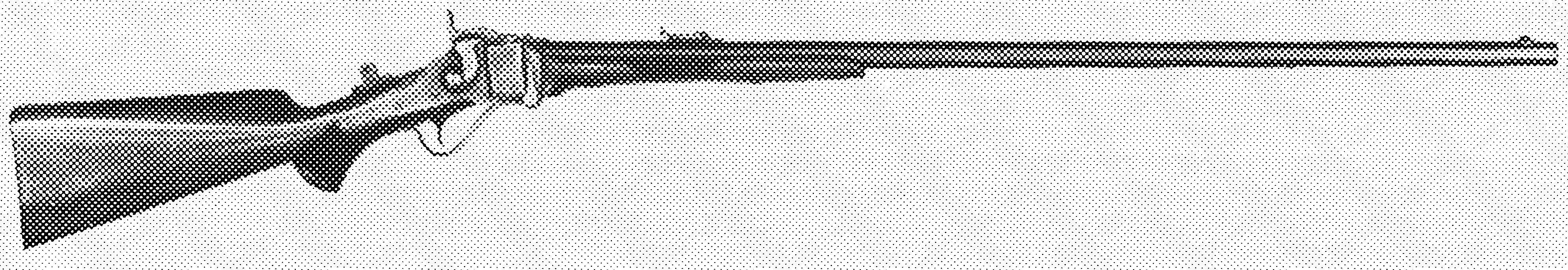 Sporting Rifle