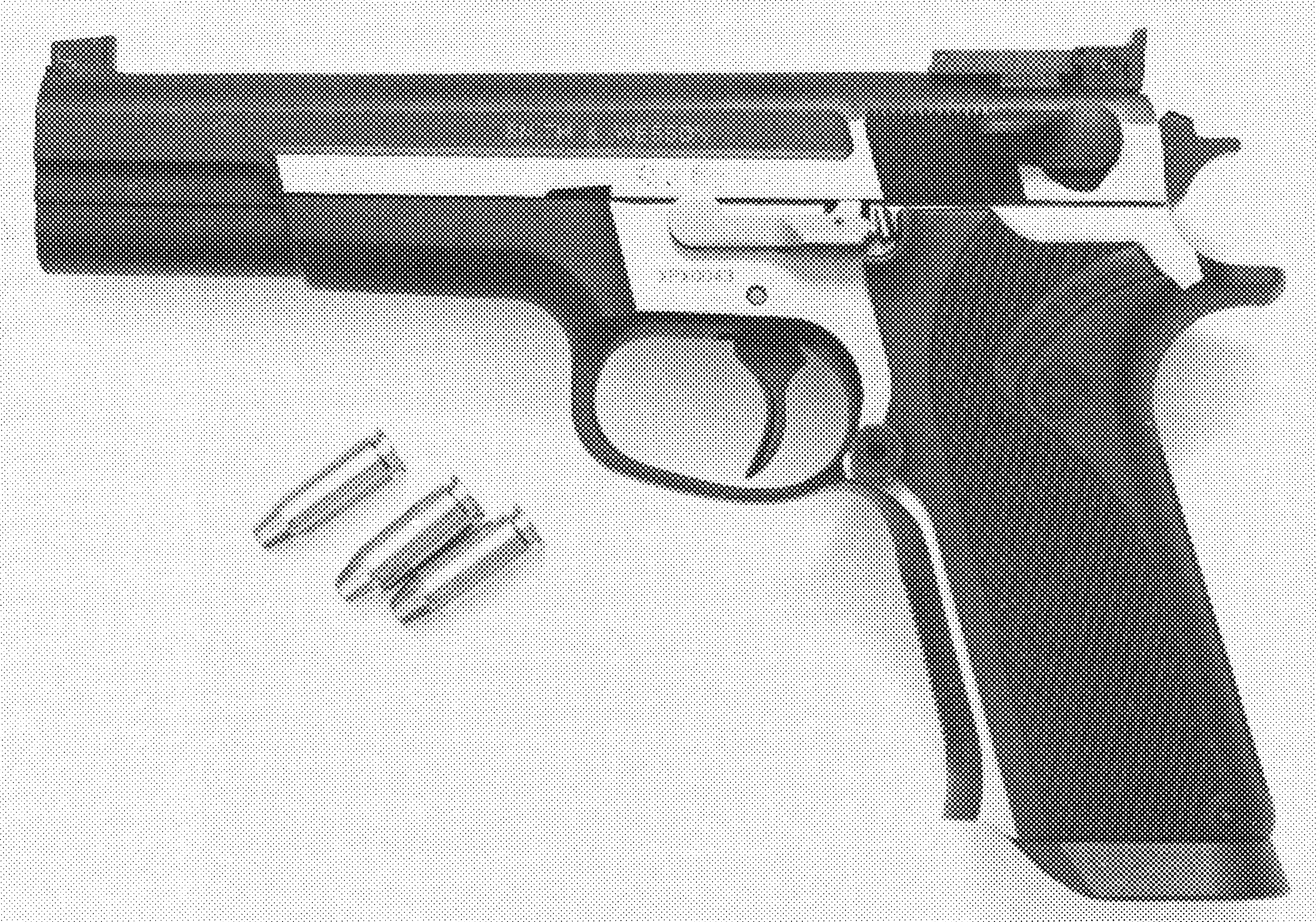 Model .356 TSW 