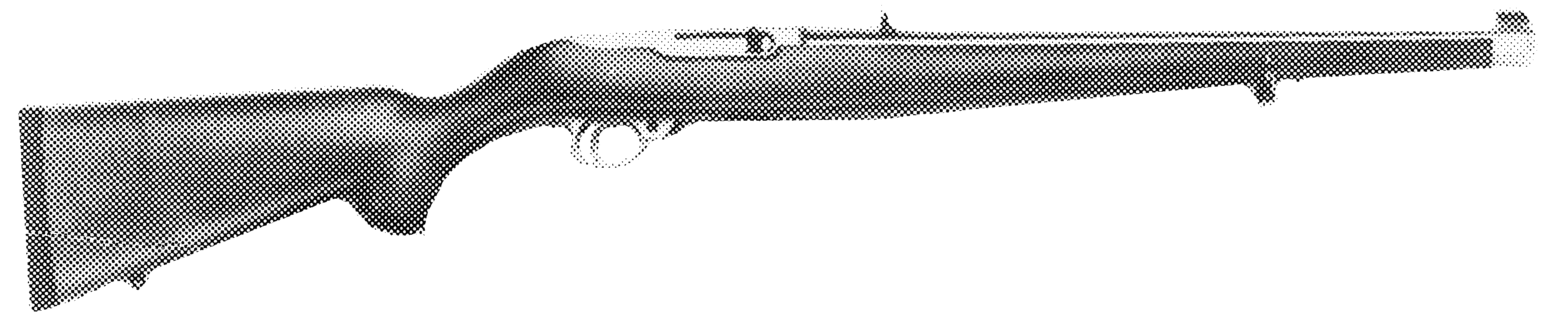 10/22 International Carbine (New Model)