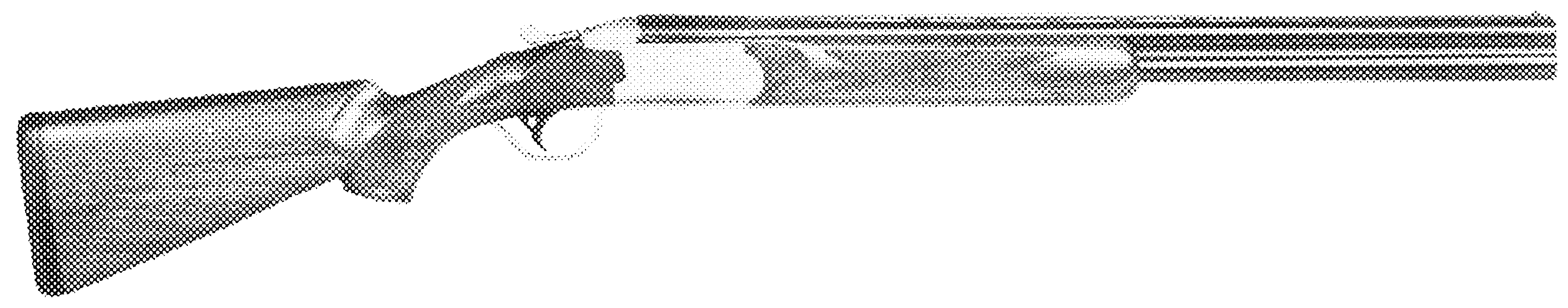 412S Shotgun