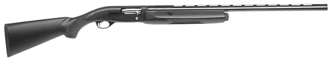 Model SAS Synthetic