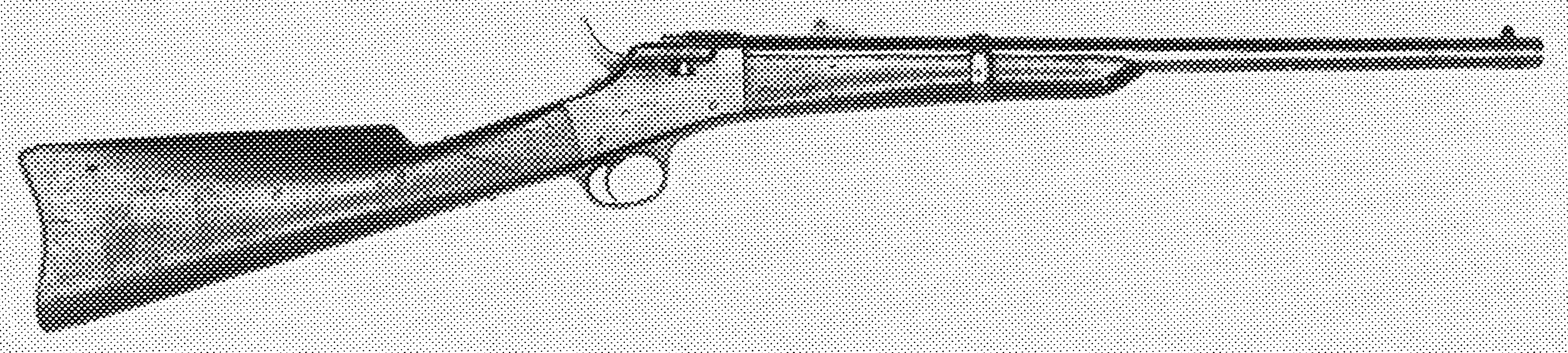 Phoenix Civilian Carbine