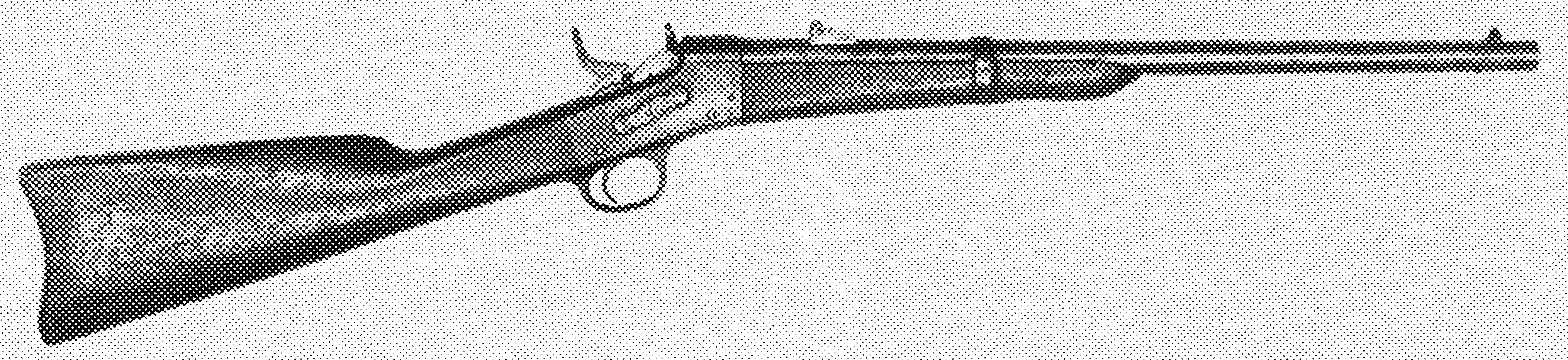 Phoenix Military Carbine