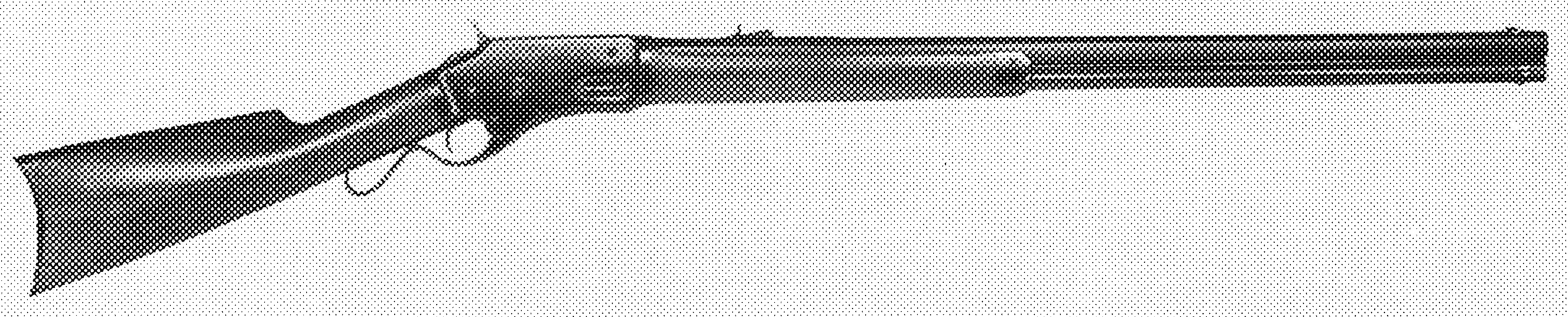 Whitney-Kennedy Rifle