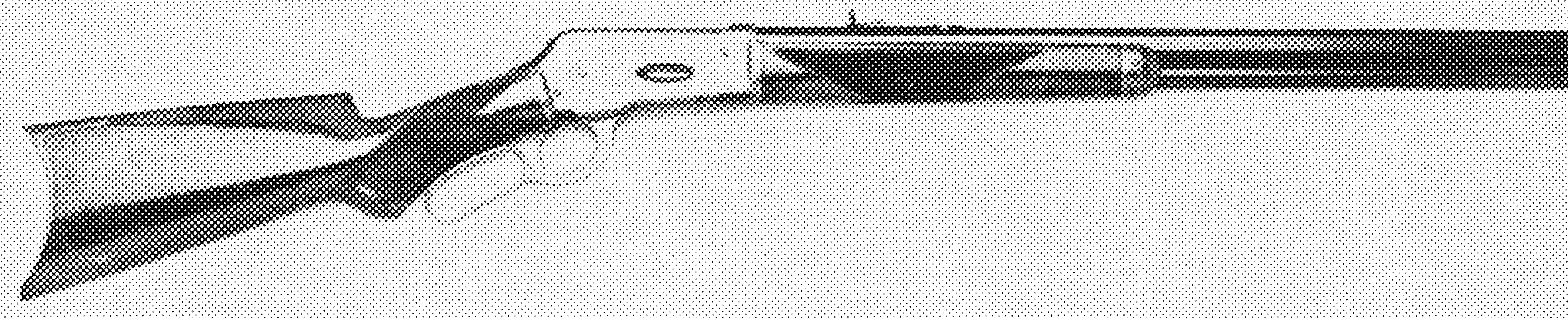Sporting Rifle