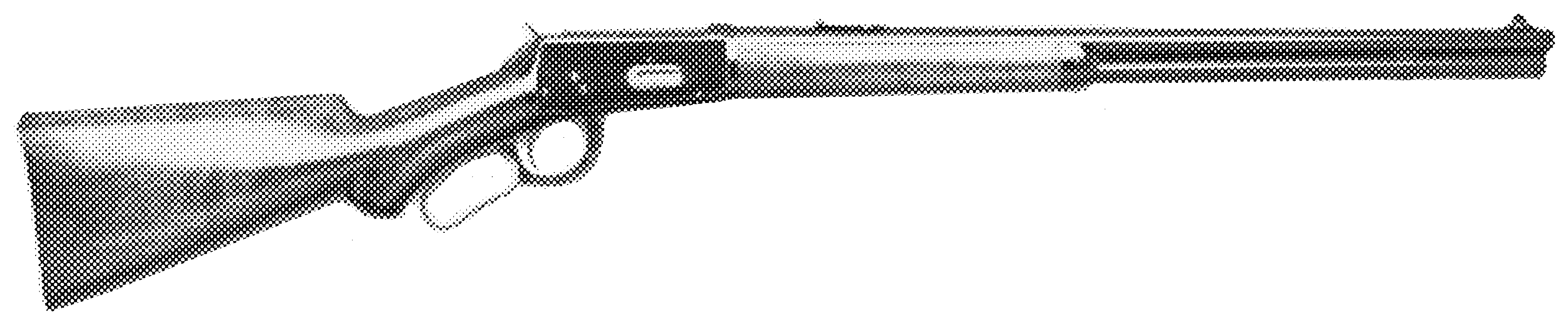 Sporting Rifle