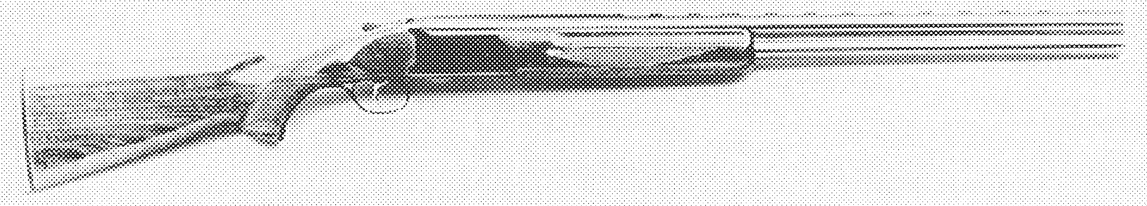 Model 1001 Field
