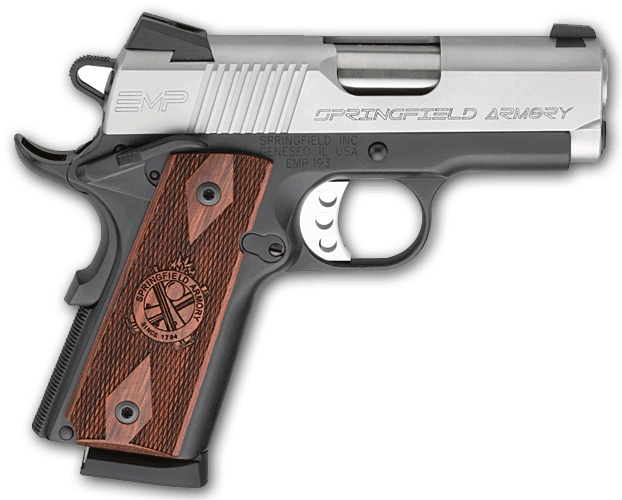 Enhanced Micro Pistol (EMP)
