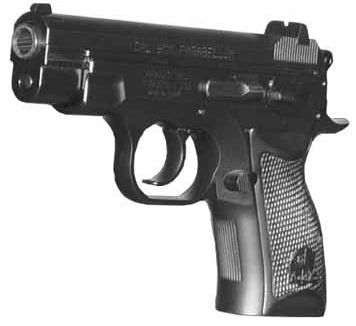 AR-24 Tactical Custom