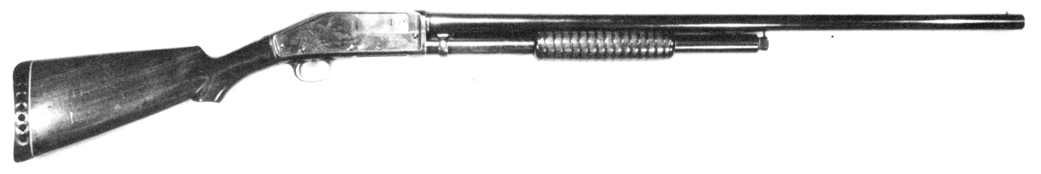 Model 31
