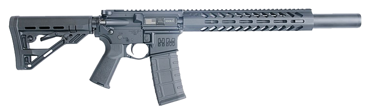 STEALTHMS5 Rifle