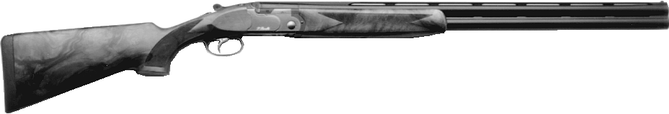 682 Gold Sporting