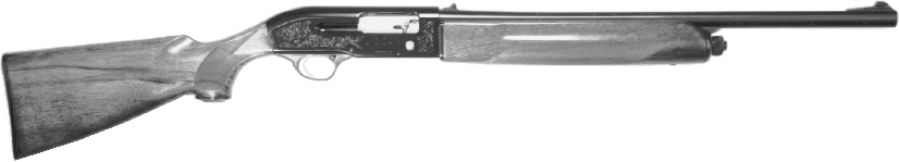 Model 301