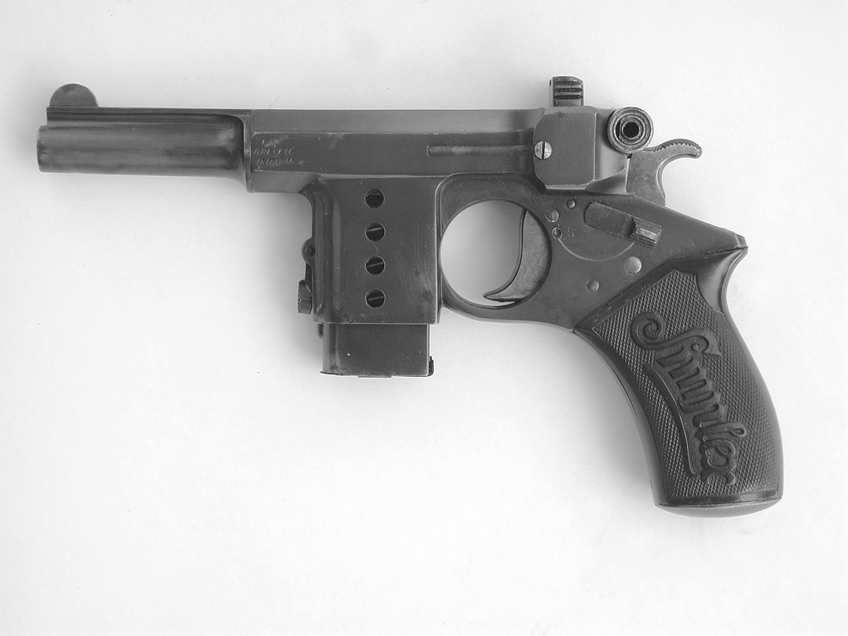 Bergmann Simplex