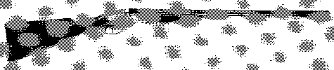 Roma 6