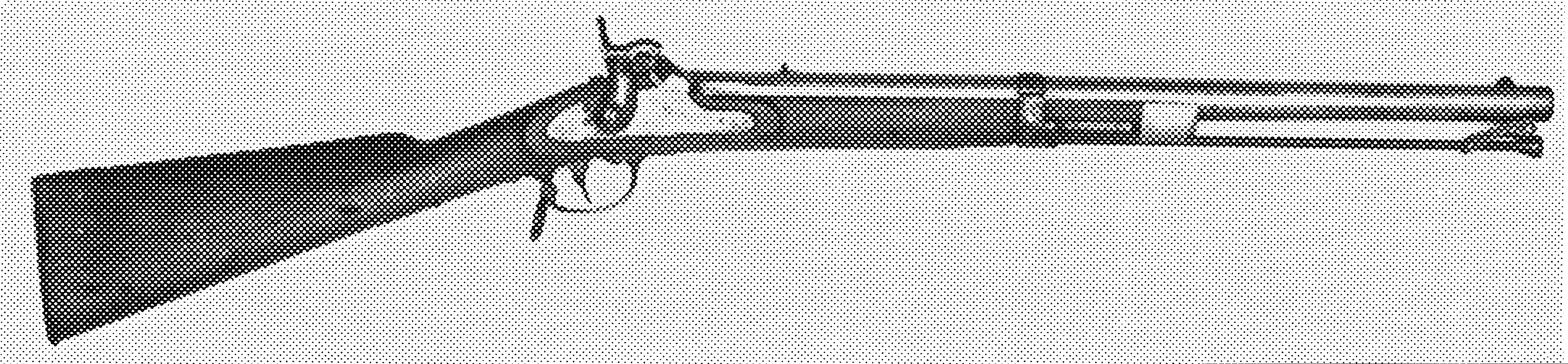 Muzzleloading Carbine