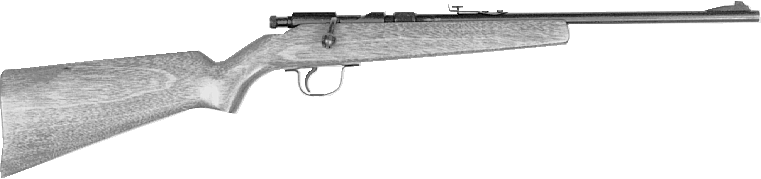 Mini-82 Youth