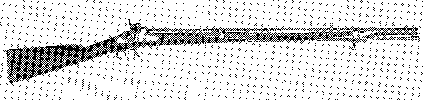 Confederate Percussion Long Guns