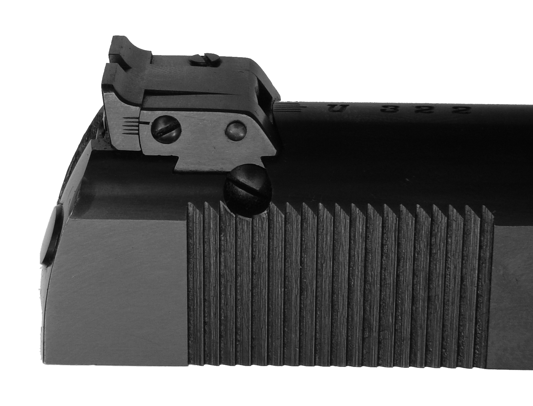 With Adjustable Sights