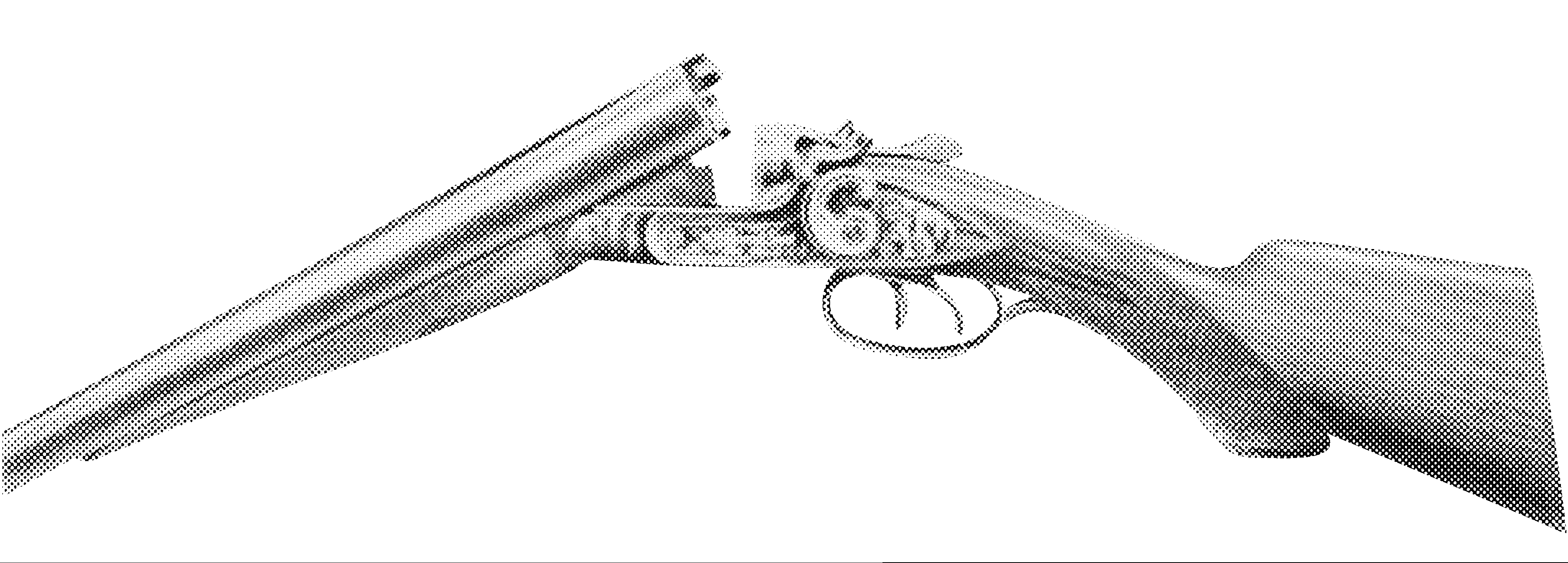 Grade D and DS Hammer Shotguns