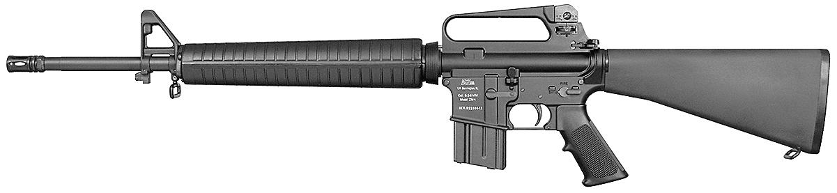 DS-AR Rifle