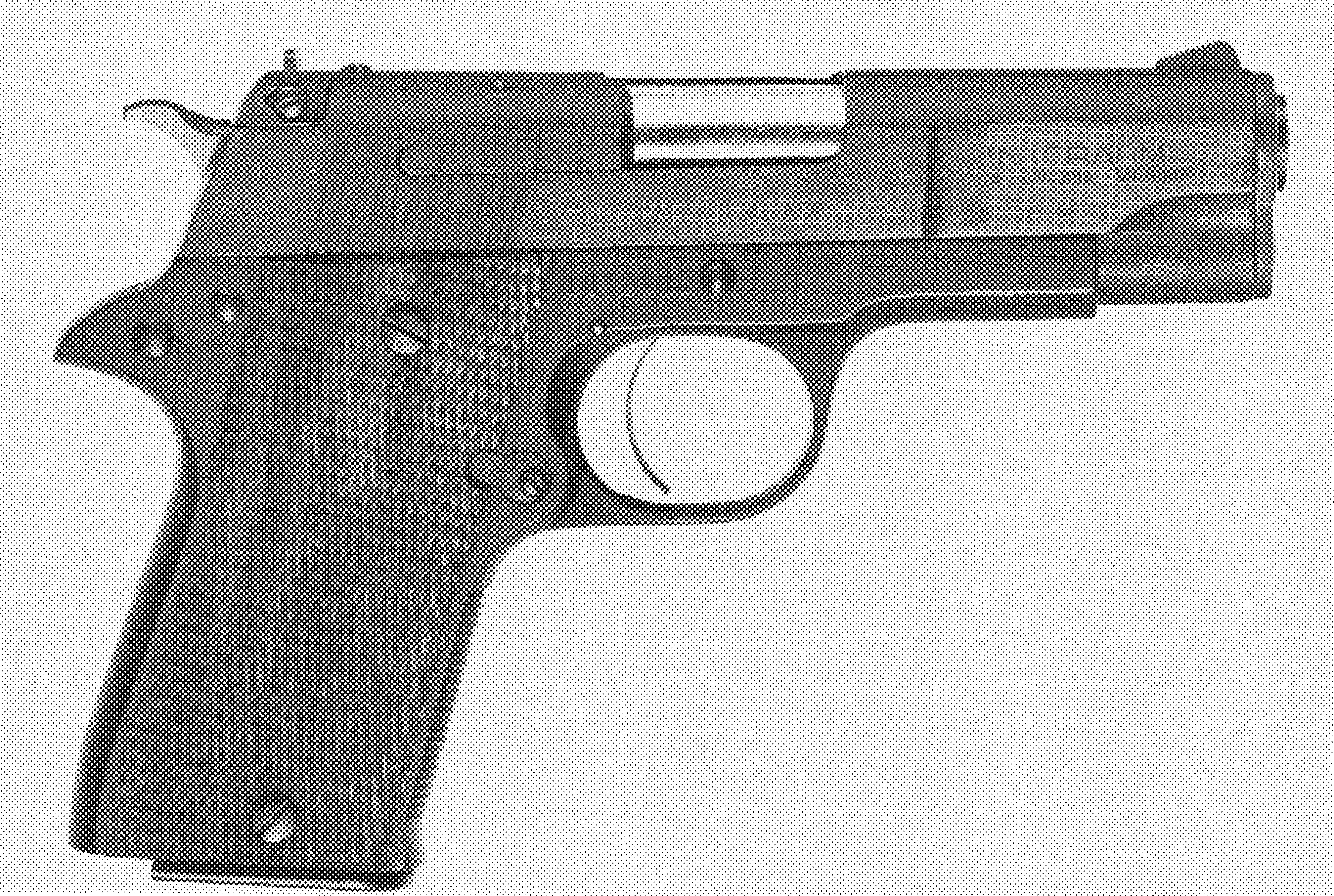 Star Model PD