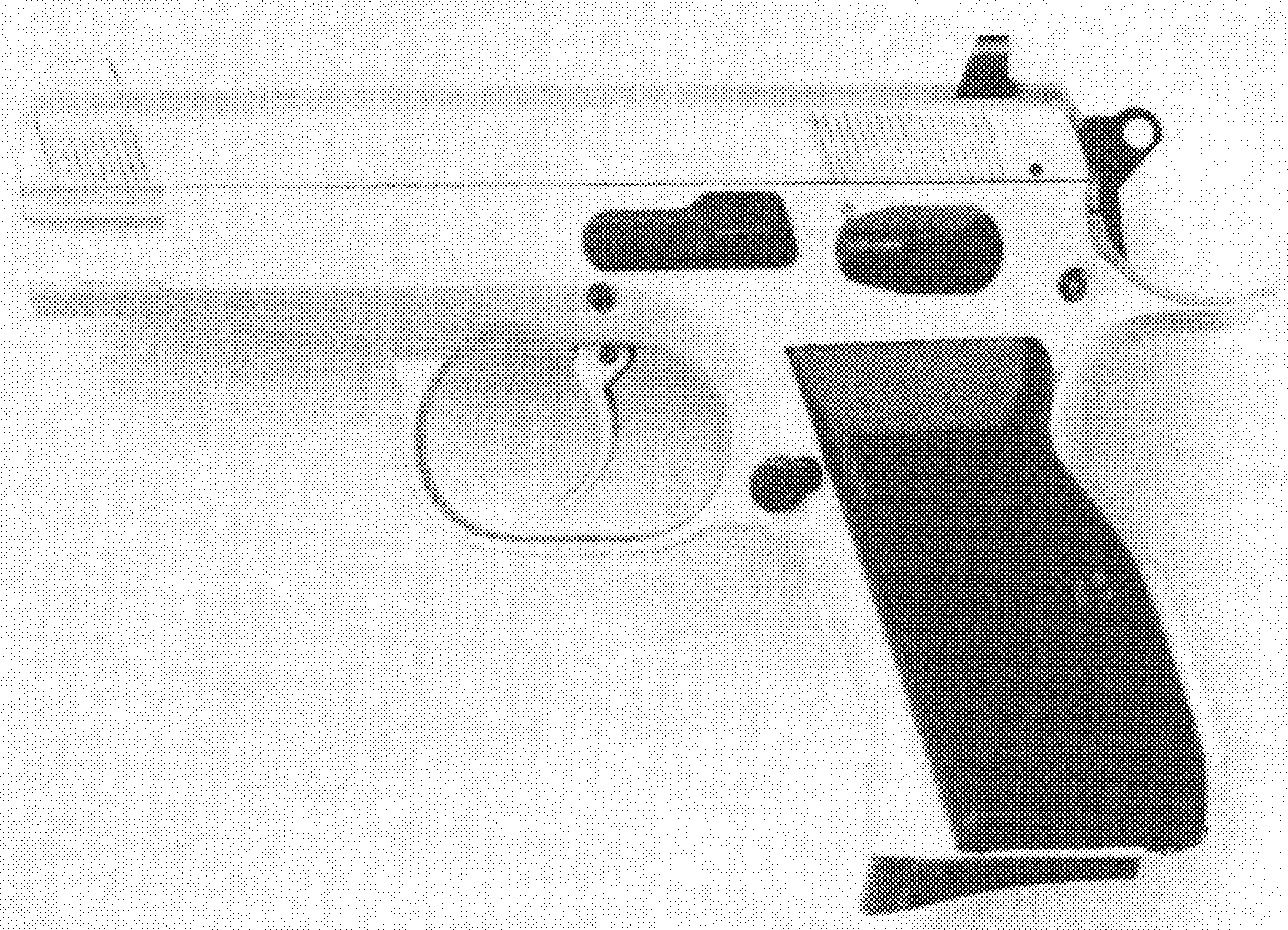 EAA Witness Subcompact