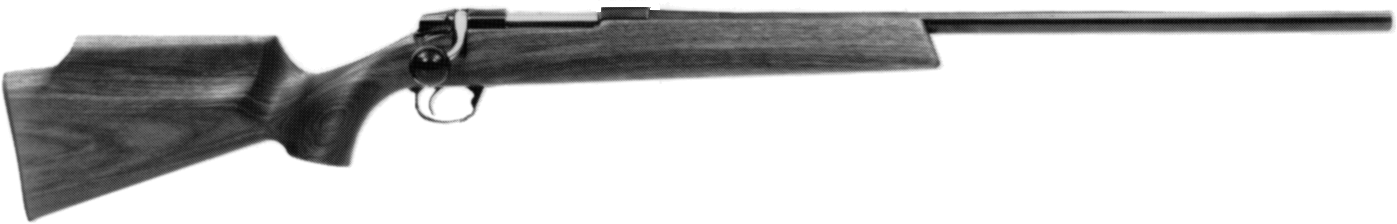Varmint Model