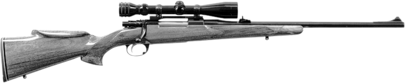 Model 300 Ultra