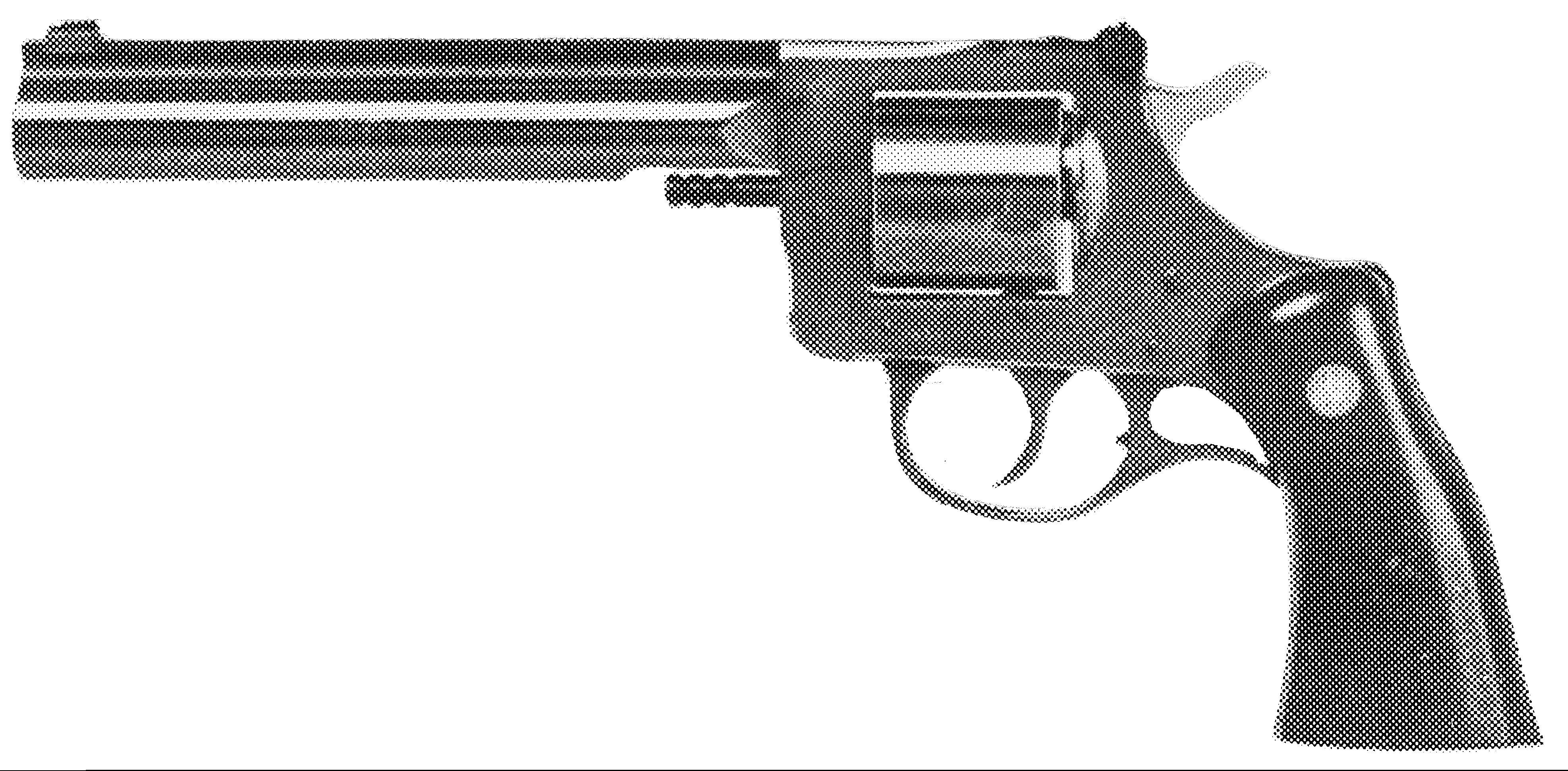 Model 504